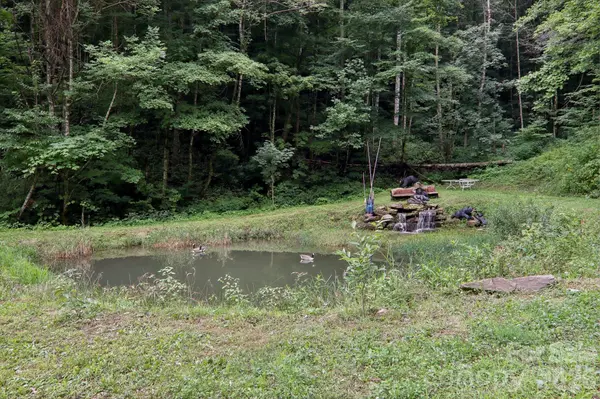4501 Cove Creek RD, Waynesville, NC 28785