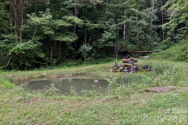 4501 Cove Creek RD, Waynesville, NC 28785