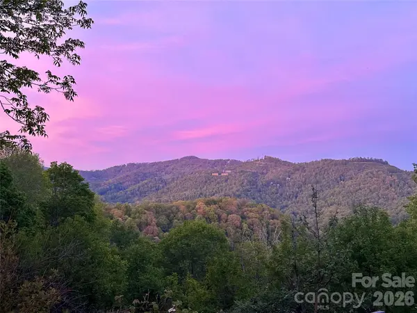 1185 Black Bear DR, Mars Hill, NC 28754