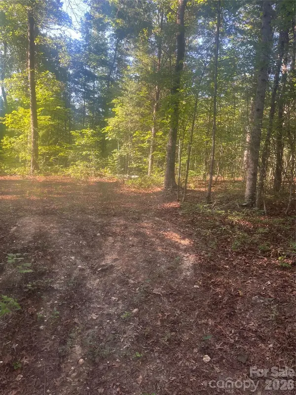0 Ore Bank RD #4, Smyrna, SC 29743