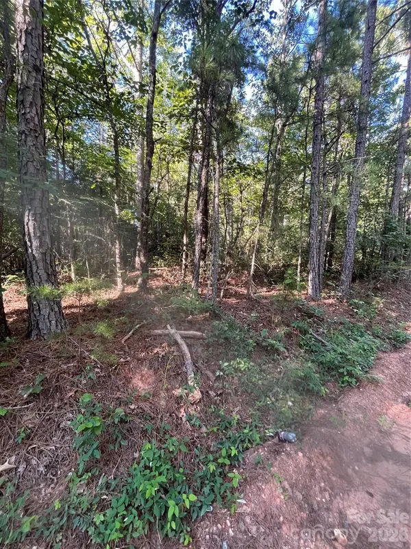 0 Ore Bank RD #4, Smyrna, SC 29743