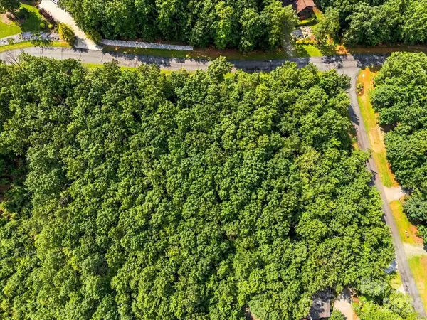 149 Mossy Oak TRL #167, Nebo, NC 28761