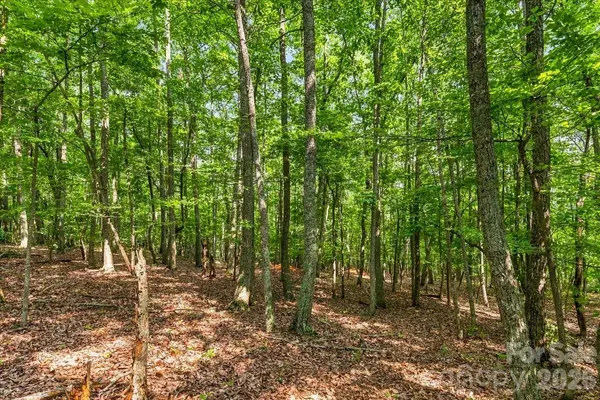 149 Mossy Oak TRL #167, Nebo, NC 28761