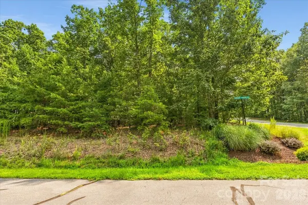 149 Mossy Oak TRL #167, Nebo, NC 28761