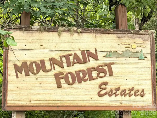 477 Mountain Forest Estate, Sylva, NC 28779