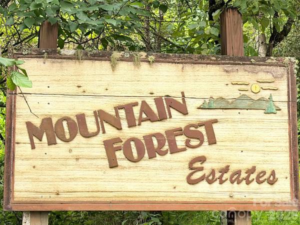477 Mountain Forest Estate, Sylva, NC 28779