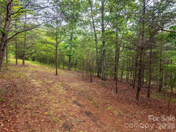 Lot #28 Parkway North RD #28, Mill Spring, NC 28756