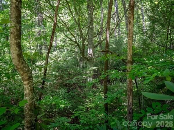 M11 Pine Mountain TRL, Brevard, NC 28712