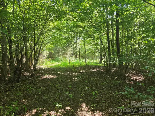 700 Nelson LN, Millers Creek, NC 28651