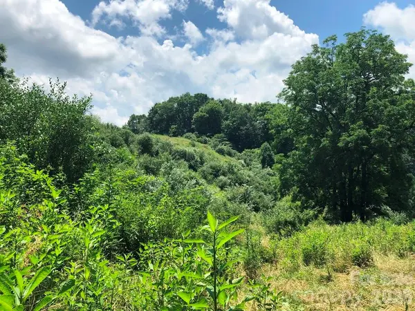 866 Georges Gap RD, Vilas, NC 28692