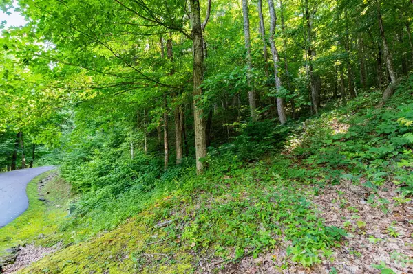 Lot 30 Finlaystone TRCE #30, Waynesville, NC 28786