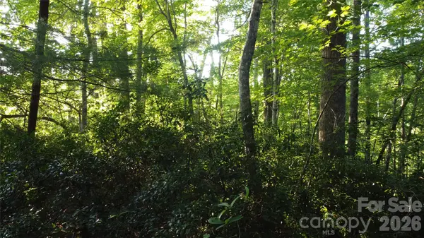 0000 Havens Creek RD #4, Black Mountain, NC 28711