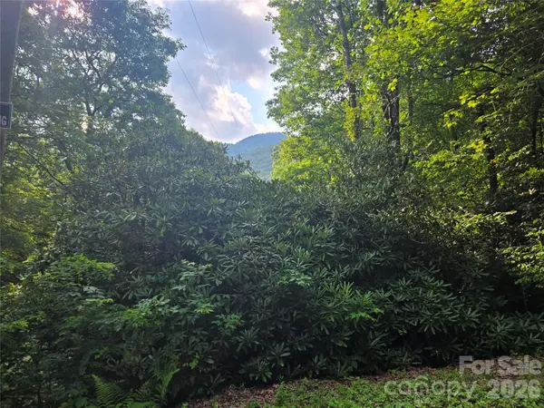 000 Greenspire DR, Sylva, NC 28779