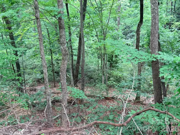 0 Harrison DR, Lake Lure, NC 28746