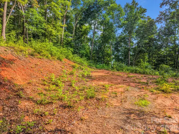 00 Kema RD #6, Swannanoa, NC 28778