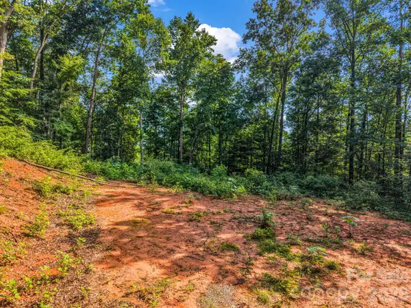 00 Kema RD #6, Swannanoa, NC 28778