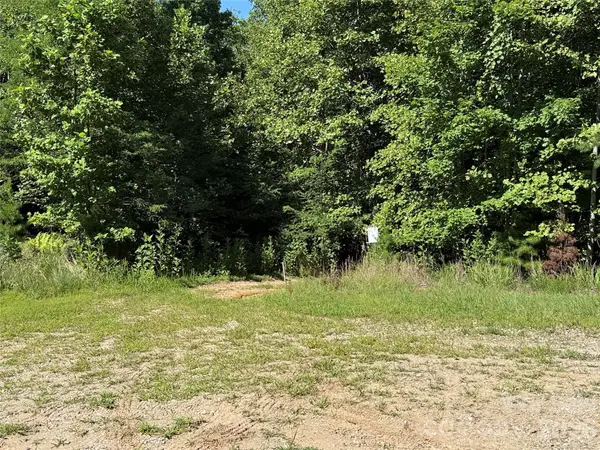 TBD Casey Mountain RD #222, Purlear, NC 28665