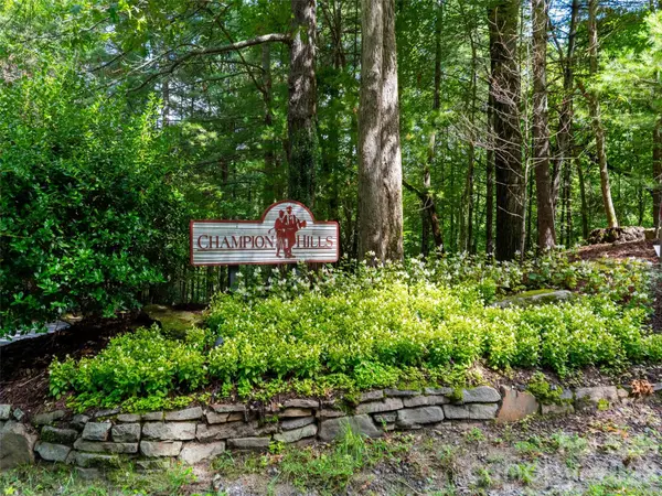 211 Tom Fazio TRCE #342, Hendersonville, NC 28739