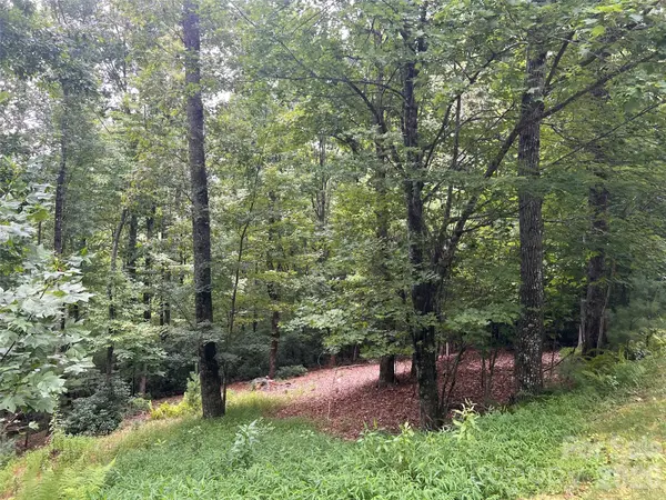211 Tom Fazio TRCE #342, Hendersonville, NC 28739