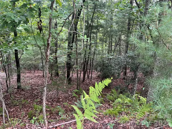 211 Tom Fazio TRCE #342, Hendersonville, NC 28739
