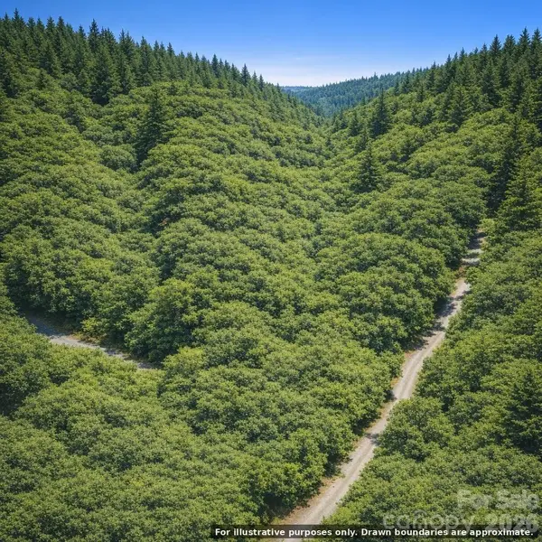 Lot 124 Trellis DR, Nebo, NC 28761