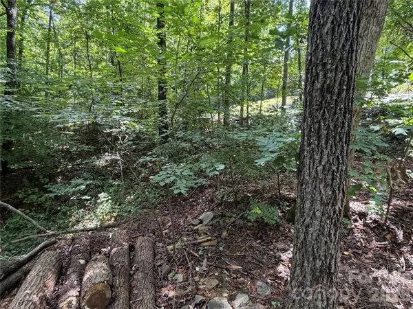 0 Beechtree CIR, Rutherfordton, NC 28139