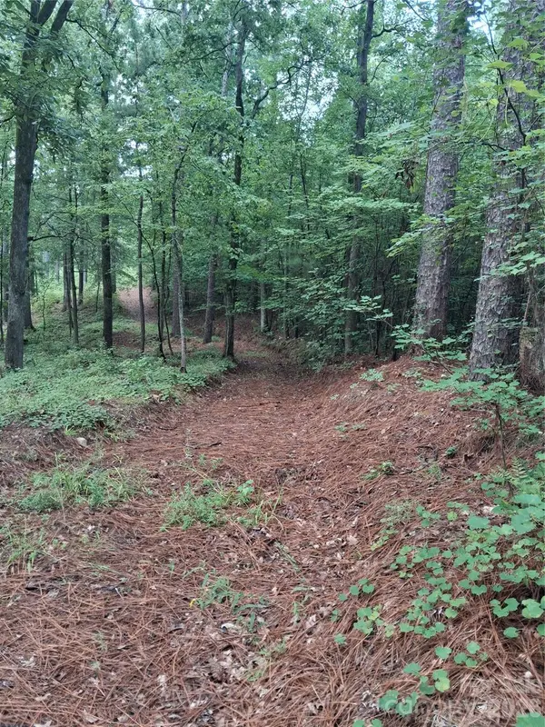 0 NC 109 HWY S, Mount Gilead, NC 27306