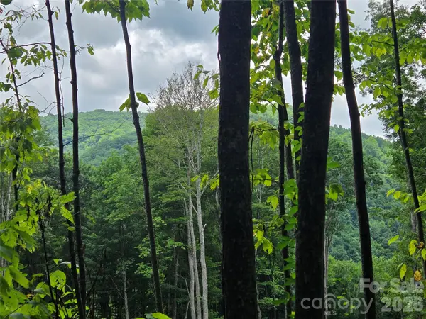 108 Tenderfoot TRL #108 & 109, Maggie Valley, NC 28751