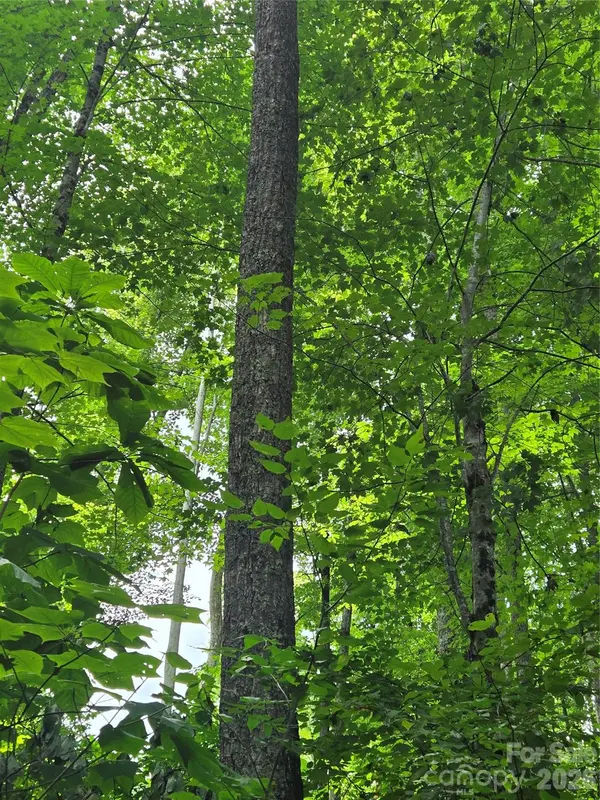 108 Tenderfoot TRL #108 & 109, Maggie Valley, NC 28751