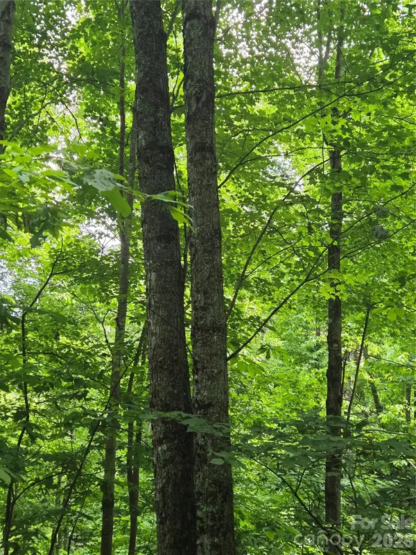 108 Tenderfoot TRL #108 & 109, Maggie Valley, NC 28751
