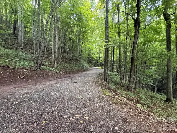 1781 High Line RD #63, Sylva, NC 28779
