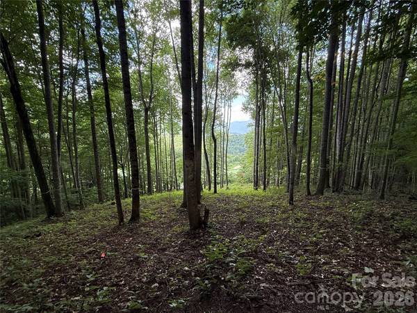 1781 High Line RD #63, Sylva, NC 28779