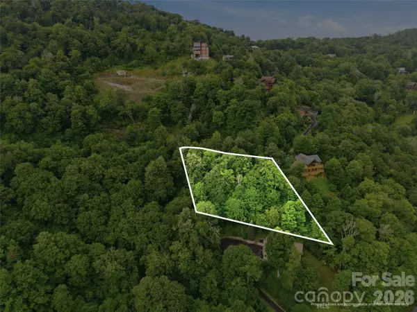 Lot 50 Running Cedar DR, Mars Hill, NC 28754
