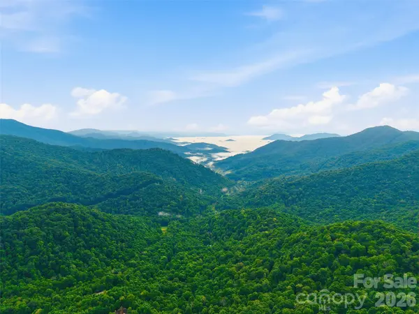 Lot 50 Running Cedar DR, Mars Hill, NC 28754