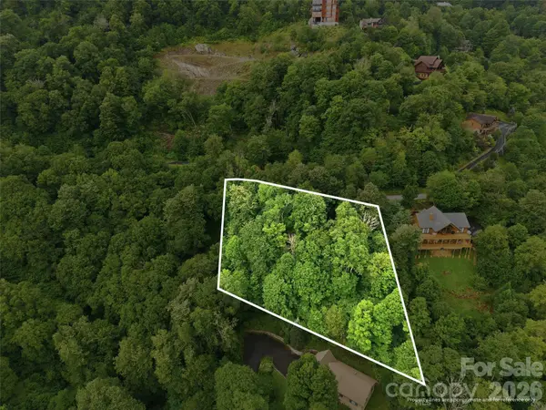 Lot 50 Running Cedar DR, Mars Hill, NC 28754