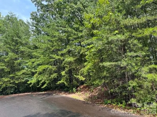 TBD Fire Tower RD, Bostic, NC 28018