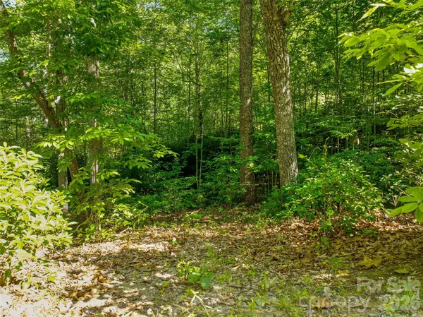 0000 Red Bud LN #3-F, Laurel Park, NC 28739