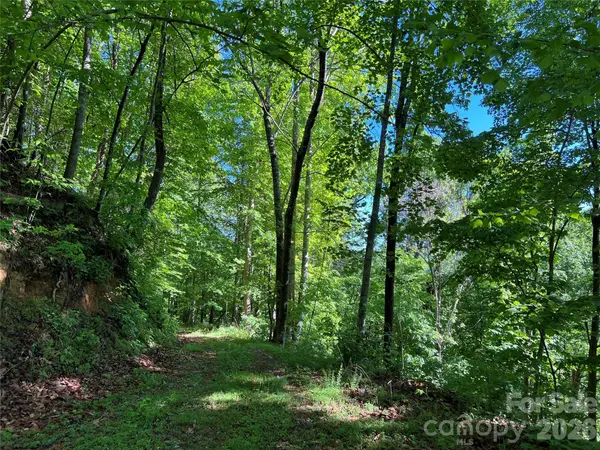 TBD Valley DR, Lenoir, NC 28645