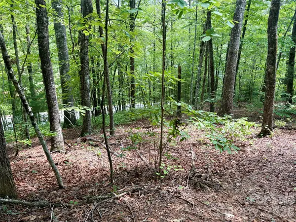 0 Watia RD, Bryson City, NC 28713