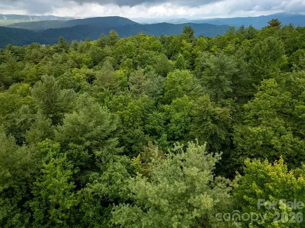 Lot 10 Emma Bri LN #10, Hendersonville, NC 28739