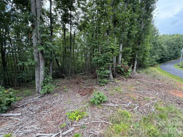 69 Idlewild DR, Bostic, NC 28018