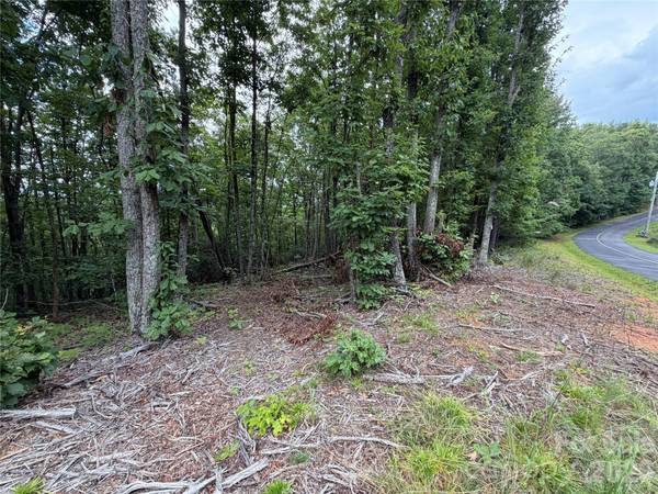 69 Idlewild DR, Bostic, NC 28018