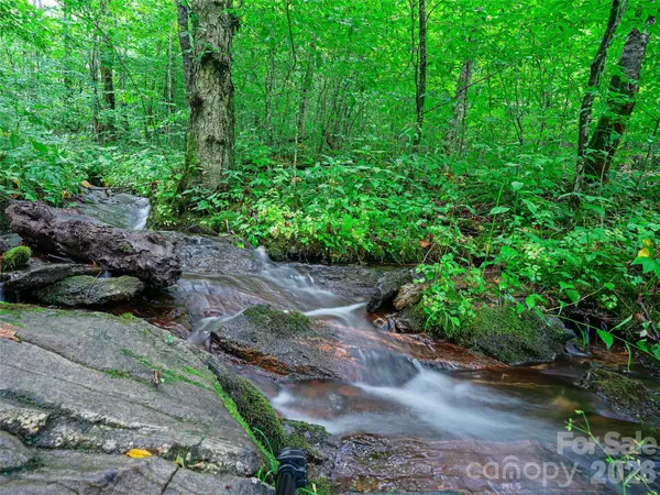 0 Ogle Meadows RD ##81, Burnsville, NC 28714