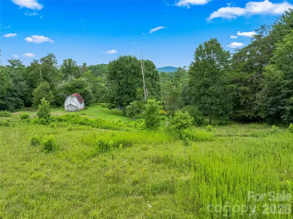 117 Woods View TRL, Fairview, NC 28730
