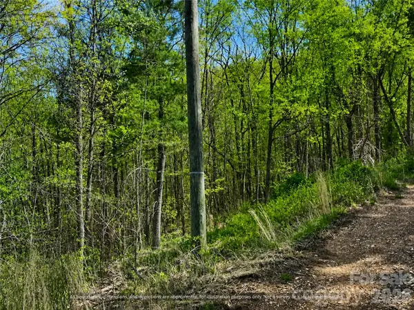 000-000 Big Rock LN #Lots 8, 9 and 10, Lowgap, NC 27024