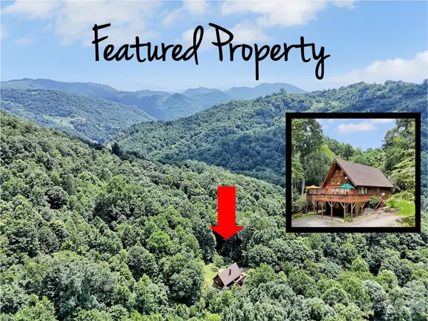 170 Wonderwood LN, Clyde, NC 28721