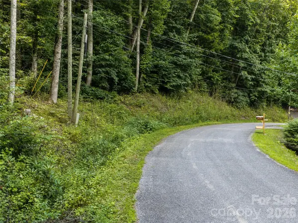 00 Dogwood DR, Maggie Valley, NC 28751