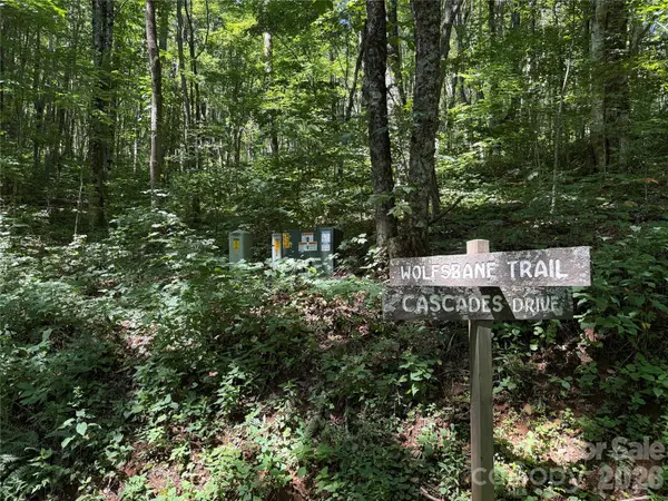7 Wolfsbane TRL #7, Todd, NC 28684