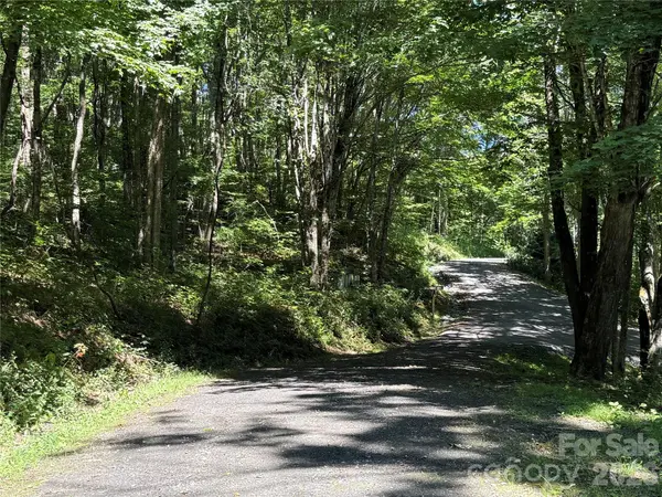 7 Wolfsbane TRL #7, Todd, NC 28684