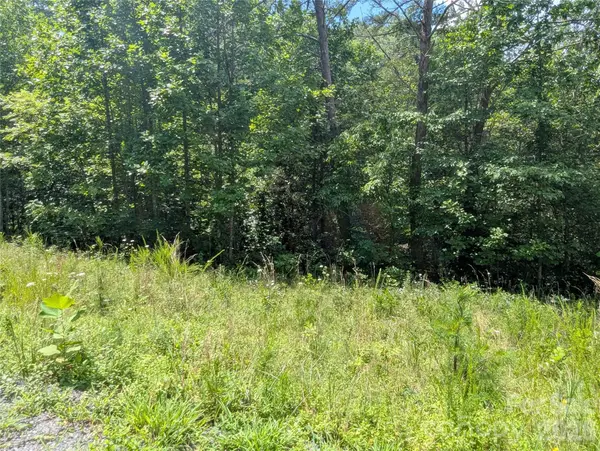 0 Austin DR #13, Marshall, NC 28753